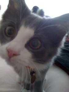 Because this expression is totally normal...