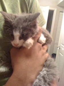 Honestly, isn't that the cutest thing you've ever seen??