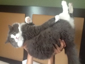 "It's all Tiberious, baby..."