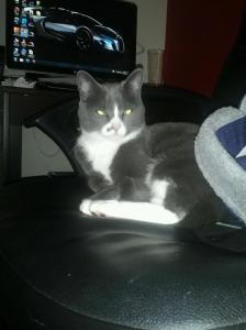 Worship me, you mere Earthiling...