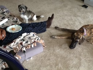 A little pizza to tame the wild beasts...