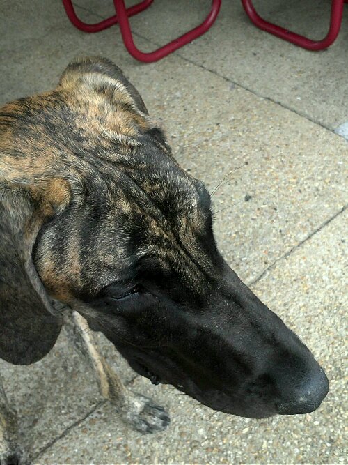 13702050615470.jpg image