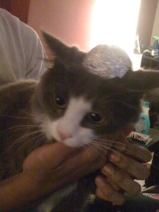 Tiberious is special...