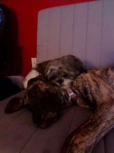 Don't let them fool you...calculated opportunists is what they are...