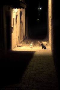 1656332_10204300633867735_8183102880883243643_n