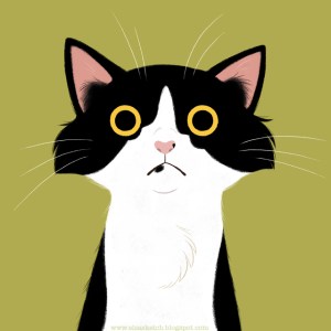 All the other cats be like...